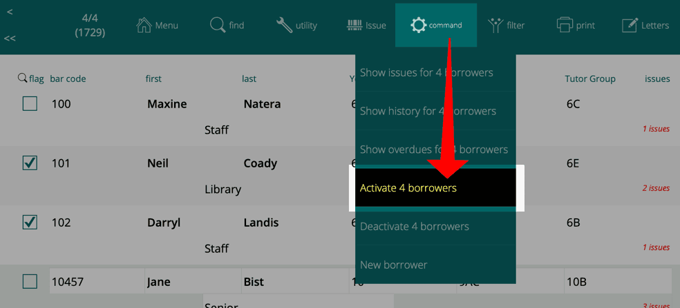 activating multiple borrowers
