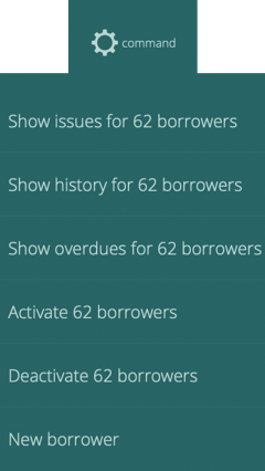 command menu for borrower list