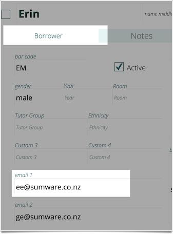 email 1 details on the borrower tab