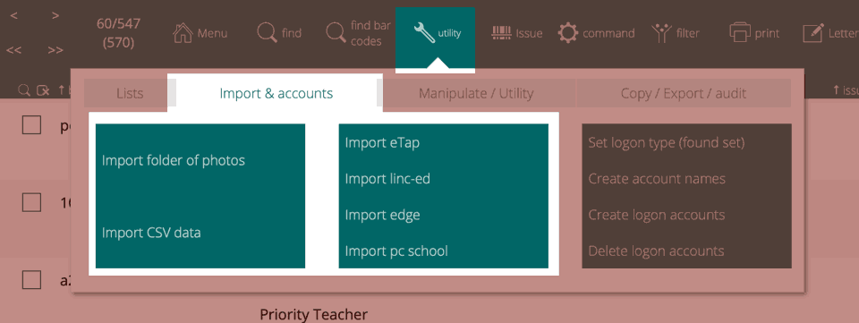 borrower utility import tab