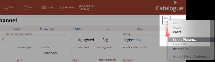 inserting an image for a type